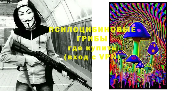 дживик Балахна