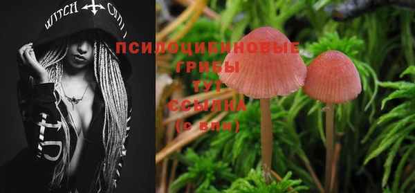 дживик Балахна